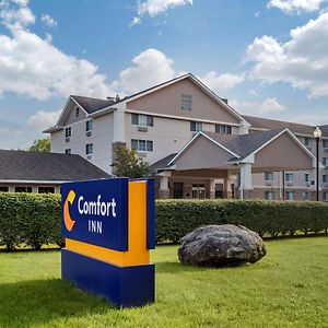 Comfort Inn Of Griswold